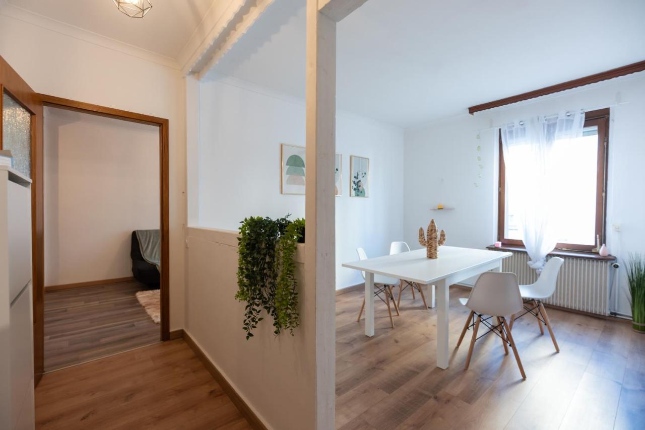 Appartement Cosy De 80 M2 Mulhouse Ngoại thất bức ảnh